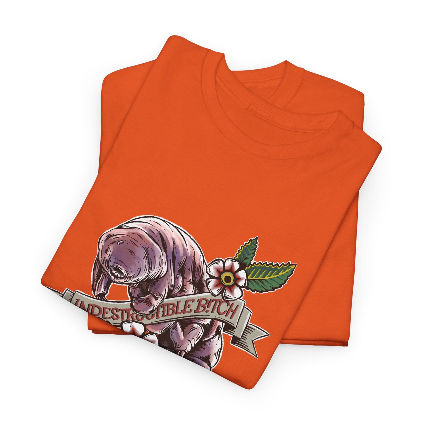 Vědátor - želvuška